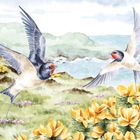 Zwei Schwalben fliegen über gelbe Blumen. Im Hintergrund sind Hügel und das Meer zu sehen. Es ist eine Illustration.