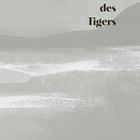Text: „Vom Reiten des Tigers“. Illustration in Grautönen mit stilisierten Bergen und Wasser.