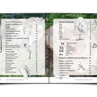 Text über Holzbildhauerei und Projekte, Baumkunde, Sicherheitshinweise. Illustrationen von Bäumen und Werkzeugen.