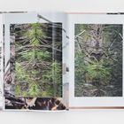 Ein aufgeschlagenes Buch zeigt zwei Bilder von symmetrischen Pflanzenstrukturen mit grünen und braunen Tönen.