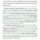 Textpassage über Bethans Notizbuch, Abenteuer, Äpfel im Obstgarten, Mysteriöse Ereignisse. Englische und deutsche Sätze.
