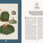 Titel: PEYOTE  
Beschreibung: Peyote ist ein kleiner Kaktus mit psychoaktiver Wirkung, wächst in Mexiko und Texas.  
Illustration: Verschiedene Kakteen mit Blüten.