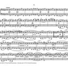 Notenblatt mit Titel "V." und Tempoangabe "Andante". Es folgen detaillierte Musiknoten, u.a. "crescendo" und "decrescendo".