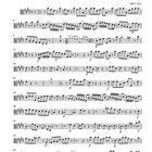 Text: "Konzert, Entstanden um 1738, Viola, BWV 1053". Es handelt sich um ein Notenblatt mit Musiknotation.