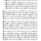 Text: "Marsch, Komponiert in Salzburg, vermutlich Sommer 1780, KV 445." Notenblatt für ein Musikstück mit verschiedenen Instrumenten.