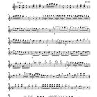 "Ein musikalischer Spaß", Violinstimme, Allegro, KV 522. Notenlinien mit Noten und rhythmischen Angaben.