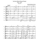 "An der schönen blauen Donau", Walzer op. 314 von Johann Strauß. Widmung an Ulrike Dietrich. Partitur für Violinen.