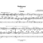 Musiknoten mit der Überschrift: "Waldszenen op. 82" und "1. Eintritt". Darunter ein Orgelarrangement von Robert Schumann.