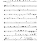 Notenblatt mit dem Titel "Die Sorge geht über den Fluss I" für Viola Solo, komponiert von Walter Zimmermann 1993.