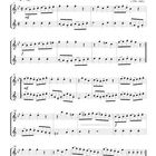"Duett 1" und "Allegro I" stehen oben. Notenblätter mit musikalischen Anweisungen sind darunter zu sehen.