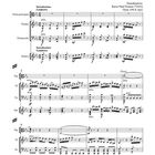 Notenblatt "Sonata per la Grand' Viola e Orchestra" von Niccolò Paganini, Transkription von Xaver Paul Thoma.