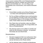 Praktische Anwendung von Schafgarbe und Hirtentäschelkraut für Wundbehandlung und als Tee.