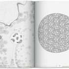 Seite 251. Links: Landschaftsplan mit Pfaden und Bäumen. Rechts: Runde, wabenartige, detaillierte Struktur.