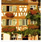 19 Mo, 20 Di, 21 Mi, 22 Do, 23 Fr, 24 Sa, 25 So, 16. Woche 2027, APRIL. Fachwerkhaus mit Blumen und Fensterläden.