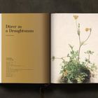 Text: "Drawings" und "1506". Eine Zeichnung zweier kindlicher Köpfe auf Wolken in einem aufgeschlagenen Buch.