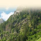 Text "EISACKTAL" oben; Kiefernwald auf einem steilen Berghang, darunter Wiese und blauer Himmel.