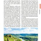 Abstecher in das Tal der Mosel. Weinberge und Fluss im Moseltal, umgeben von grünen Hügeln unter klarem Himmel.