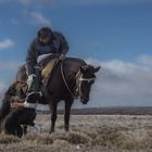 Ein Mann auf einem Pferd beugt sich zu zwei Hunden hinunter, die ihn erwartungsvoll anschauen. Weite Landschaft im Hintergrund.