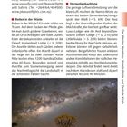 Aktivitäten bei Sossusvlei umfassen Reiten in der Wüste, Sternenbeobachtung; klarer Himmel und Milchstraße.