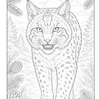 Illustration: Ein Luchs geht auf einem Waldpfad. Umgeben von Tannenzapfen, Bäumen und einem sonnigen Himmel.