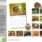 "Igel 2027" und "Heel by Lempertz" sind sichtbar. Verschiedene Fotos von Igeln mit Namen wie Pablo, Rita + Marco, und Chlodwig.