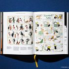 Ein Buch ist geöffnet. Links: "III. IMAGINED WORLDS: GRAPHIC STORIES". Comics mit Figuren, darunter Tiere und Menschen. Rechts: Titel "Gasoline Alley".