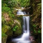 "Geroldsauer Wasserfall im Schwarzwald. 26 JUN/JUL MO 28 DI 29 MI 30 DO 01 FR 02 SA 03 SO 04."  
Ein Wasserfall inmitten grüner Pflanzen.