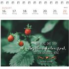 Ein Kalender für die Woche vom 16. bis 22. August. Zitat von Theodor Fontane: „Ein Herz, das sich über Kleinigkeiten freut, ist ein großes Herz.“ Foto mit Walderdbeeren.