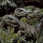 Zwei Velociraptoren stehen in dichtem Dschungel, umgeben von üppigen grünen Pflanzen und Bäumen.