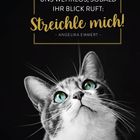 Eine graue Katze mit strahlend grünen Augen schaut nach oben. Text: „Eine Katze macht uns wehrlos... Streichle mich!“