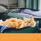 Texte: "Ich wünsche dir, dass du im Urlaub entspannen kannst. Das hast du dir verdient." Monatskalender für Juni mit Katze im Koffer.