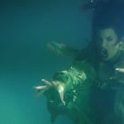 Keine erkennbaren Texte. Eine Person unter Wasser, in einem grünen, zerfetzten Gewand, mit weit aufgerissenen Augen und Mund.