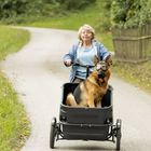 Ein Hund mit Brille sitzt vorne in einem schwarzen Lastenfahrrad, das von einer älteren Person auf einem Weg gelenkt wird.