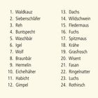 Liste von Tieren: Waldkauz, Siebenschläfer, Reh, Fuchs, Luchs, Rothirsch und mehr, nummeriert von 1 bis 24.