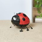 Links ein Marienkäfer-Ballon auf einem Boden, rechts eine Pflanze auf einem Regal mit gestapelten Büchern.