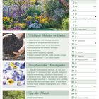 Mai, Gartenarbeiten, Pflanzen setzen, Beerensträucher pflegen, Veilchen-Rezept, Urlaub unter Palmen. Bild von blühendem Garten.