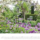 Ein Meer von Zierlauchblüten und Kletterpflanzen ziert den Traumgarten. Kalenderblatt für Mai. Lila Blumen und weiße Bank.