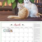 Kalenderblatt für April mit zwei Katzenbildern. Eine Illustration und ein Foto von zwei Katzen vor einer Pflanze.