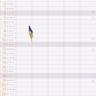 Kalenderblatt für Juli. Nummerierte Tage, Wochenenden hervorgehoben. Bunte Irisblumen als Illustration im Hintergrund.