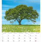 Juni 2027, Zitat: "Allein und gemeinsam – von Liebe umgeben". Kalender mit Baum auf Blumenwiese und blauem Himmel.