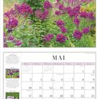 Mai-Kalender mit lilafarbenen Blumen im Bild. Tipps zu Phlox und Sitzmöglichkeiten. Feiertage: Christi Himmelfahrt, Pfingsten.