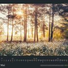 Mai, Kalender mit Daten des Monats und GEO Logo. Sonnenlicht scheint durch Pinien in einer Wiese voller Pusteblumen.