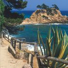 An der wilden Küste Kataloniens, der Costa Brava, schlängelt sich ein schmaler Pfad zum Mittelmeer.