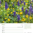 Text: März, 10. Woche, 8 Mo, 9 Di, 10 Mi, 11 Do, 12 Fr, 13 Sa, 14 So, Internationaler Frauentag. Beschreibung einer Wiese mit blauen und gelben Blumen.