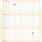 Kalender für März. Illustration: Ein grüner Drache sitzt entspannt in der Wüste neben einem Kamel.