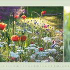 Text: "Juni 2027". Links eine Blumenwiese mit Mohn, rechts rosa Blüten. Unten Kalenderdaten.