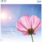 23. KW 2027. Juni. Ein Teil unseres Lebens findet sich im Herzen derer wieder, die uns lieben. Rosa Blume vor blauem Himmel.
