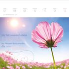 Ein Teil unseres Lebens findet sich im Herzen derer wieder, die uns lieben. Oben Daten von Montag bis Sonntag. Pinke Blume.