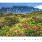 Kalenderseite: 6 - 2027. Graslandschaft mit rosa Blumen, dahinter nebelverhangene Berge.