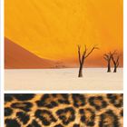 2021, 5. Monat Mai. Kalender mit Bild einer Blume, Wüste mit Bäumen und Leopardenfellmuster.